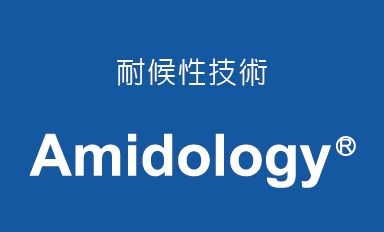 NEWAmidology